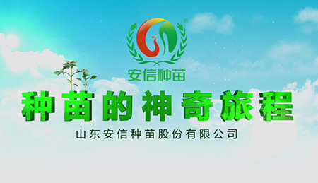 青島企業(yè)產品宣傳片制作_青島企業(yè)產品宣傳片制作公司